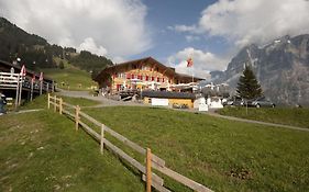 Alpinhotel Bort  3*
